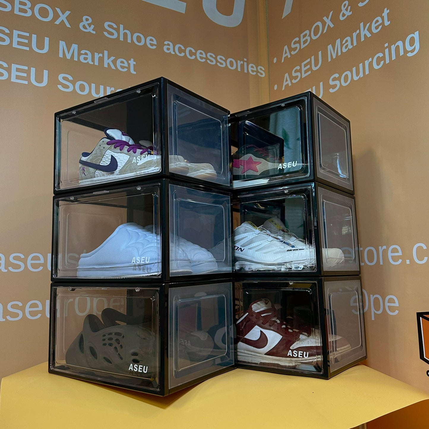 6 BOX BUNDLE